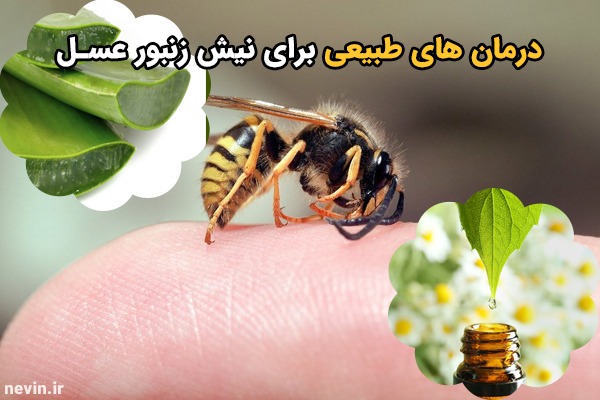 درمان های طبیعی برای نیش زنبور عسل - nevin.ir